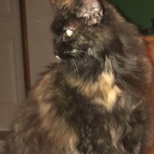 Meet your Posher, Jade